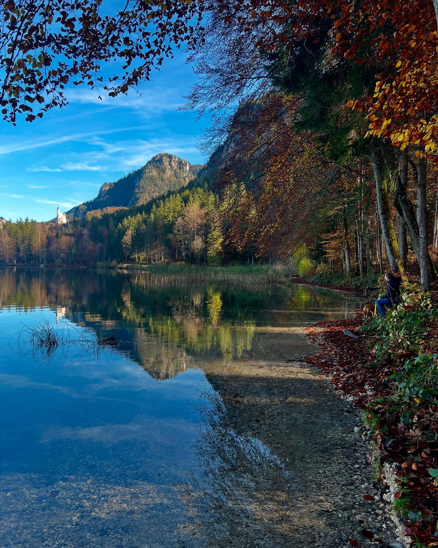 #unterwegsmiteuch #aufreisenmithund #autumnmood