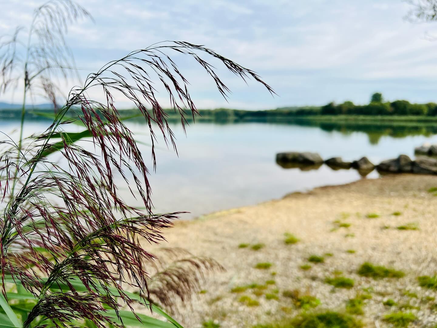 #lebenmithund #draußen #zeitmiteuch